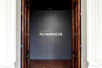 Pu Mapuche